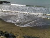 Артур Алістренко фотография #9 (источник - https://vk.com/id30488486)