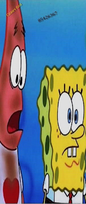 Спанч Боб фотография #3