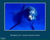 Фарид Мударрис фотография #36 (источник - https://vk.com/id90649712)