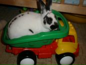 Фотография Лунишниной Надежды