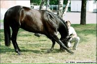 Найк ...™ фотография #29 (источник - https://vk.com/id101479513)