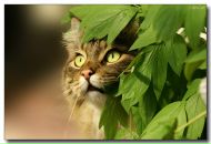 Фотография Галкиной Катюши