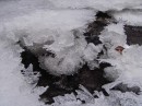 Бодя Іванцов фотография #15 (источник - https://vk.com/id14053303)