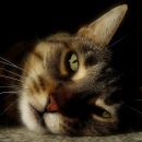 Фотография Куликова Сергея