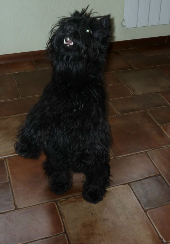 Ольга Бышенко фотография #28