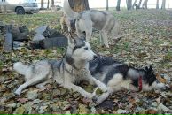 Дима Пилипчук фотография #39 (источник - https://vk.com/id20813129)