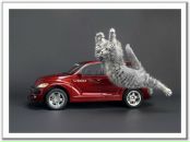 Фотография Санжаровской Оли