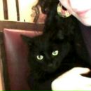 Фотография Лобас Марии