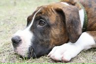 Кирилл Митяев фотография #6 (источник - https://vk.com/id6828811)