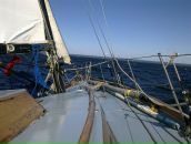 Фотография Дубнякова Антона