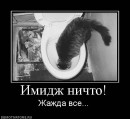 N[i]ki Baby фотография #18 (источник - https://vk.com/id66662499)