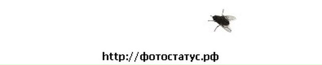 Діана Пастух фотография #34 (источник - https://vk.com/id58203697)