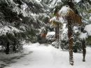 Фотография Крайнюкова Александра