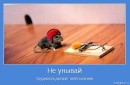 Андрюха Склярук фотография #50 (источник - https://vk.com/id11705905)