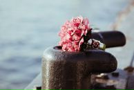 Юлія Шумейко фотография #37 (источник - https://vk.com/id5359867)