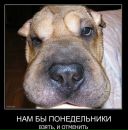 Фотография Евген Гуляев