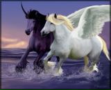 Фотография Кашинцевой Алёны