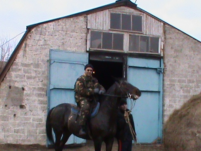 Lion Cat фотография #11