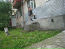 Діма Куклюк фотография #29 (источник - https://vk.com/id59149818)