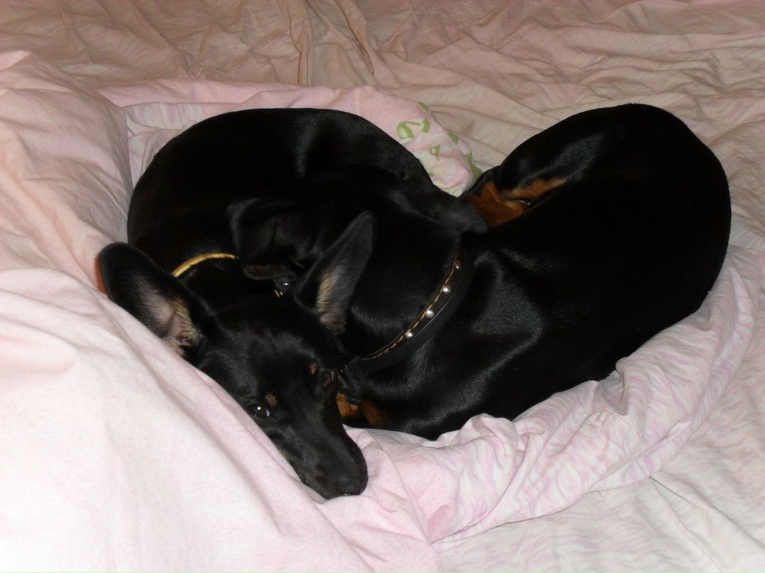 Александр Лысов фотография #25