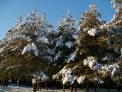 Ігорь Ігнатьев фотография #23 (источник - https://vk.com/id28343995)