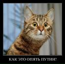 Александр Севергин фотография #3 (источник - https://vk.com/id828702)