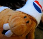 Фотография Богомаз Ирины