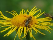 Лілія Равлик фотография #20 (источник - https://vk.com/id56085304)