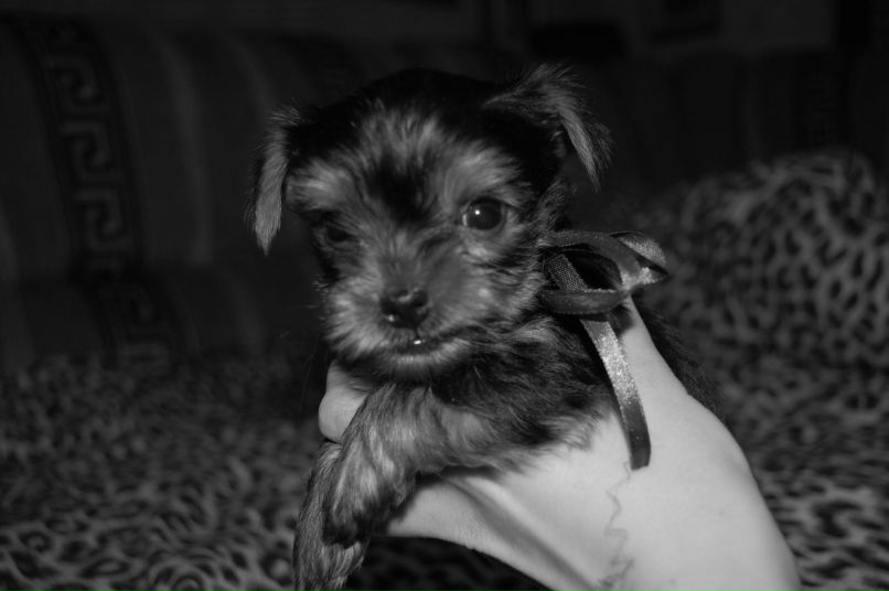 Натали Слепченко фотография #46