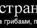 Віка Ковцуняк фотография #49 (источник - https://vk.com/id124636718)