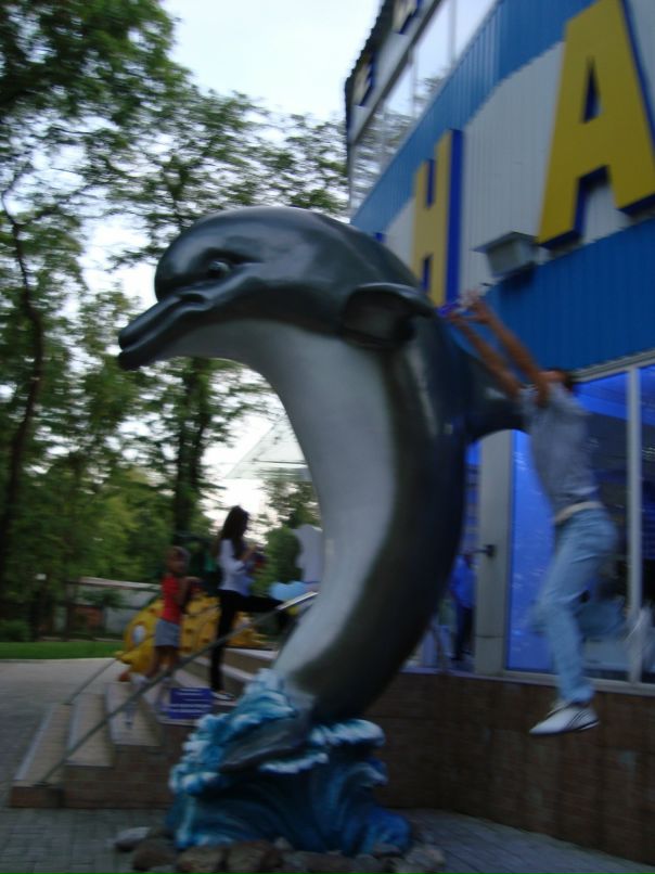 Дмитрий Смирнов фотография #7