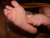 Фотография Шевнина Владислава