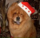 Фотография Душениной Светланы