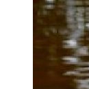 Ленусічка Пусічка фотография #50 (источник - https://vk.com/id85132007)