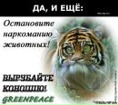 Діма Семків фотография #48 (источник - https://vk.com/id108232139)