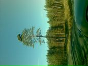 Іра Іщенко фотография #36 (источник - https://vk.com/id58742895)