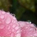 Людок Корнійчук фотография #45 (источник - https://vk.com/id21605957)