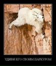 Константин Кудин фотография #17 (источник - https://vk.com/id108647)