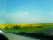 Ігор Сторожук фотография #10 (источник - https://vk.com/id21098255)