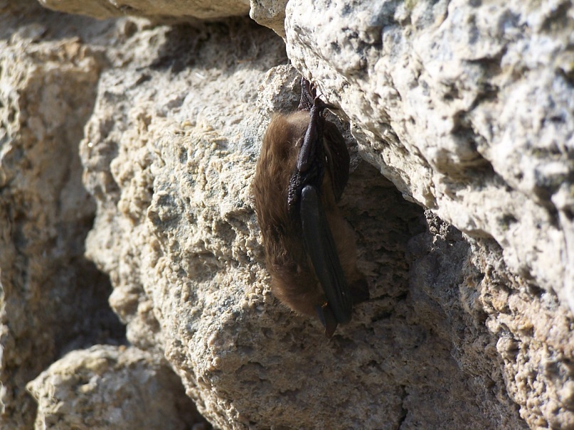 Сергей Калиниченко фотография #24