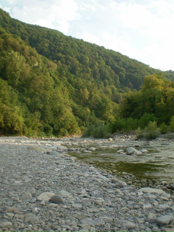 Дмитрий Головачёв фотография #16