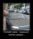 Іван Мацько фотография #16 (источник - https://vk.com/id68028329)