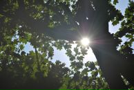 Фотография Гемоновой Катерины