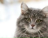 Фотография Голяковой Екатерины