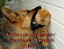 Діма Куделін фотография #24 (источник - https://vk.com/id141039474)