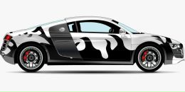 Олександр Микулін фотография #6 (источник - https://vk.com/id55889214)