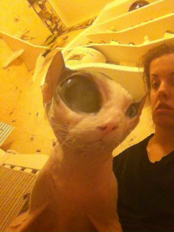 Sydney Williams фотография #28