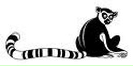 Софи Мур фотография #3 (источник - https://vk.com/id90209364)