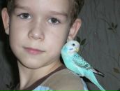 Фотография Голубева Владимира