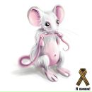 Алінка Шумеляк фотография #1